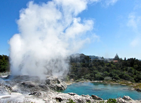 Pohutu Geyser & Blue Lake (Te Puia, Rotorua, NZ)