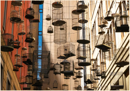 Angel Place, Angel Place Sydney, Vogelkäfig Sydney, Vogelkäfige Sydney