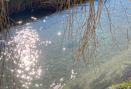 Spazieren und Meditieren in der Natur, um Kraft und Liebe zu tanken.