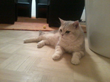 Cleo
