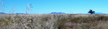 Biscuit Mountain, near Elgin, Arizona, can be seen in many western scenes, including "Gunfight at the OK Corral". 