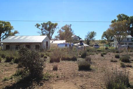 Some structures used in the classic John Wayne western "Red River" still exist in Elgin, along Upper Elgin Road.