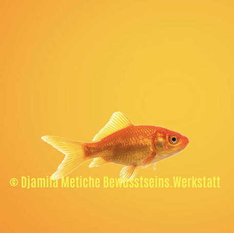  @Djamila Metiche Einleitung Text Portaltage August 2026
