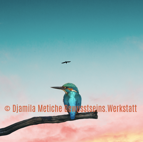 Zeit-Welle Gelber Krieger 23.6. - 5.7.2026: Die Matrix in Dir