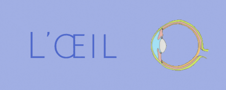 Blog sur l'oeil