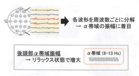 脳波について「九州大学農学研究院　農学博士　清水邦義」