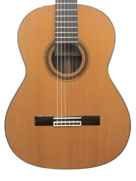 Jean Luc Joie Guitare concert 2015
