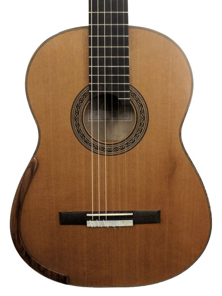 Jean-Marie Fouilleul 2016 Guitare C9-12 