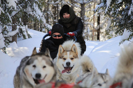 où-faire-du-chien-de-traineau-quebec