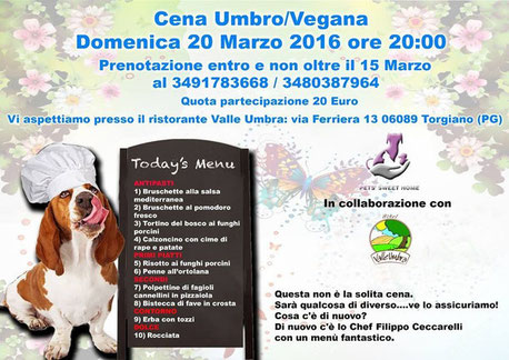 pets sweet home perugia