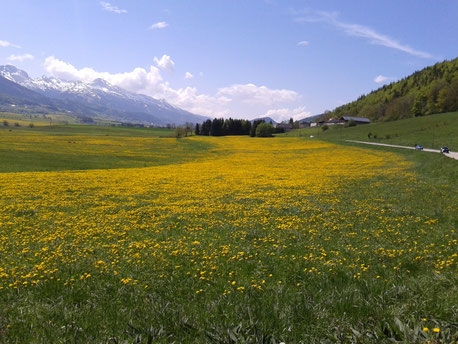Le vercors en gite au printemps