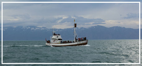 Walbeobachtungsfahrt-Húsavík-ISLAND-3-1-Tour-G349