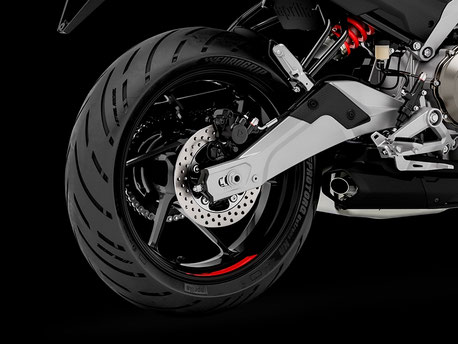 Aprilia Tuono 457 - Ansicht vom Hinterrad mit Bremse und Schwinge
