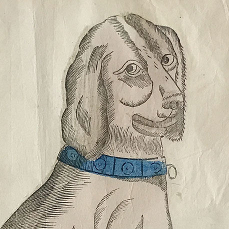 Barbara Leigh Folk Art, This dog doesn't bite, Deze Hond bijt niet