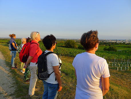 Achtsamkeitsspaziergang in Wien Floridsdorf - der etwas andere Betriebsausflug