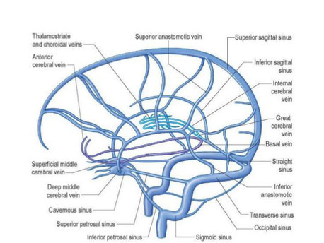 dural venous sinuses overview