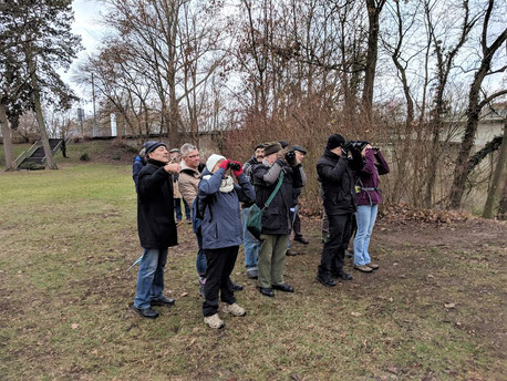 suche nach den Wintergästen