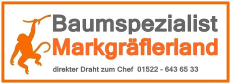 Baumpflege Baumspezialist-Markgräflerland