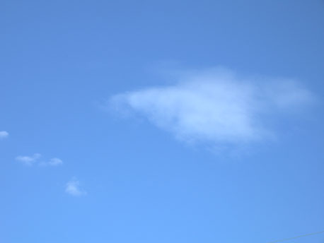 Whistle of the Wind