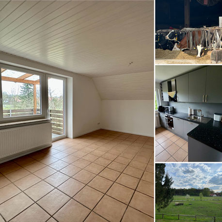 4-Zimmer Wohnung  in Mardorf