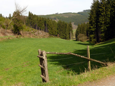Das Waldbächleintal „Gute Wasser“ ist typisch für das Obere Edertal.
