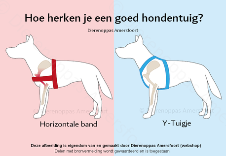 Het verschil tussen een H- en Y-tuig. Bedankt Dierenoppas Amersfoort voor deze fijne afbeelding.