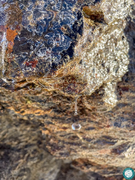 Meilleur moment pour arroser : la ressource en eau