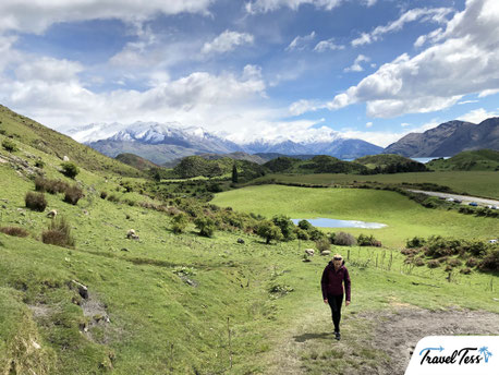 Roys Peak hike