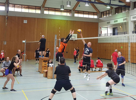 Volleyballturnier um den Krakauerpokal