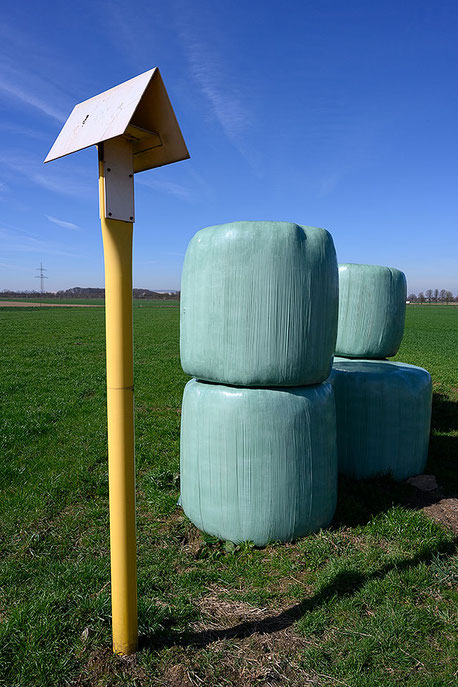 Sillage-Ballen, Erftkreis. NIKON Z7 mit Z-NIKKOR 24-70mm 1:4S bei 24 mm. Foto: Dr. Klaus Schörner