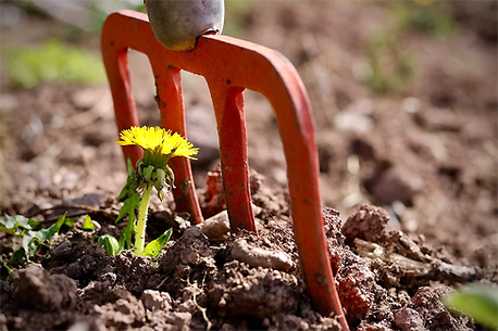 Ursprüngliche Landwirtschaft und Biodiversität