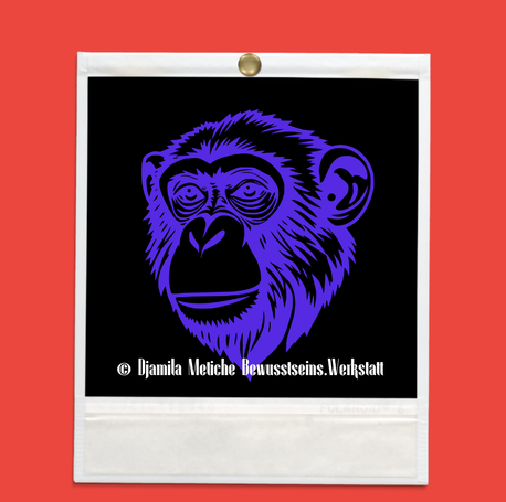 Portaltag 21.10.2025