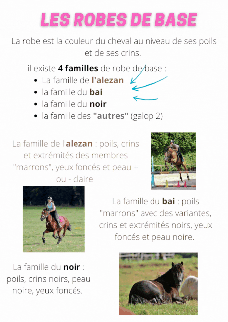 Galop 2 les robes online