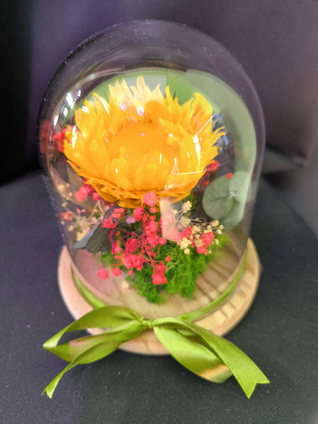 Girasol preservado en cúpula desde 49,95€