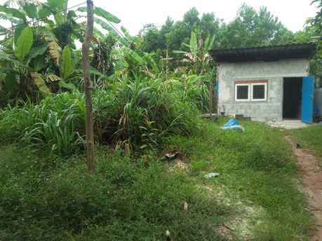 Natural Thai Clay House Building|BaanRao| Volunteer ...