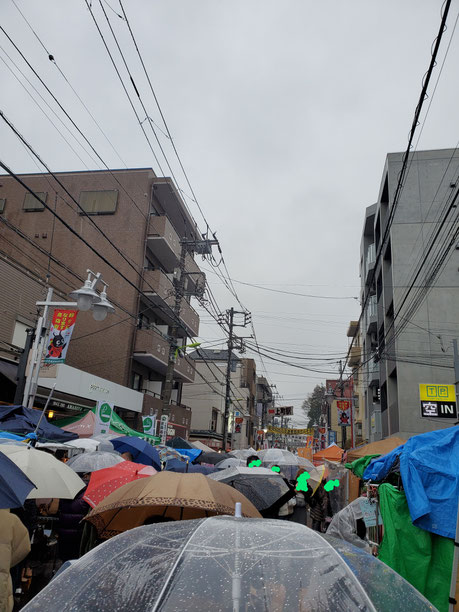 お昼ごろの、雨の様子です。