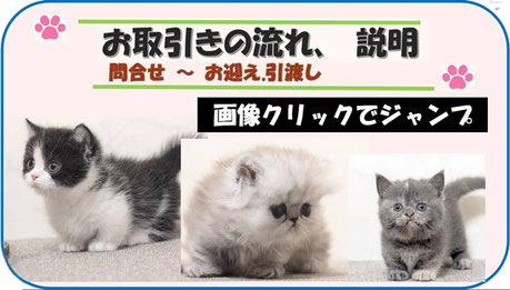 お取引きの流れ（問合せ～お迎え）の解説ページへ｜リンク画像