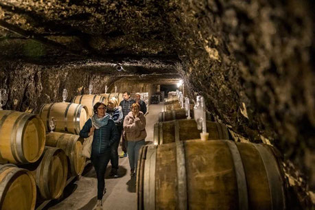 Crédit-photo-David-Darrault-visite-de-cave-troglo-Vouvray-Touraine-dégustation-vins