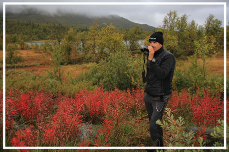 Juergen-Sedlmayr-Abenteurer-Dovre-Fjell-Herbst-NORWEGEN-609