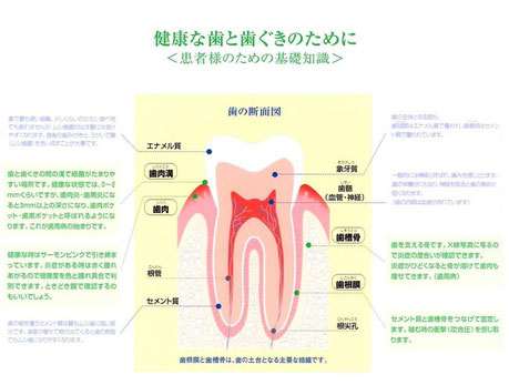 歯科一般 永井歯科医院 茨木市