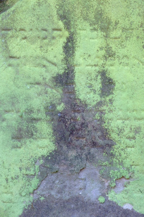 Tombe juive - Hégenheim 2007