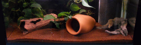 80cm 2
