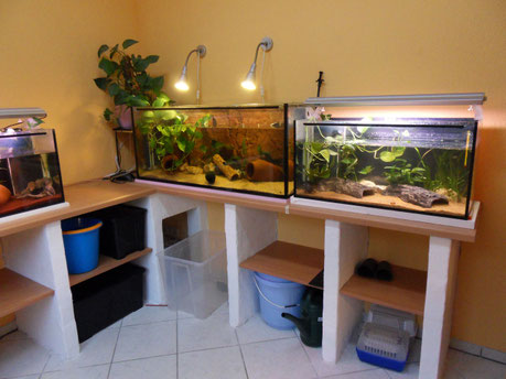 Becken 02 2013