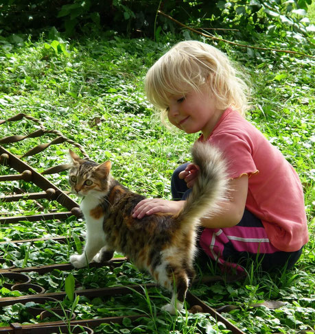 young girl petting cat outside