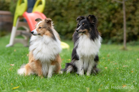 Rosie und ihre Schwester Nelly
