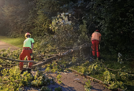 (Bild: feuerwehr-rueti.ch)