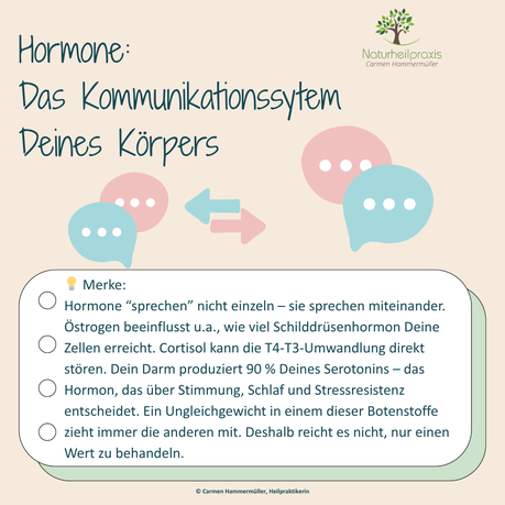 Hormone: das Kommunikationssytem deines Körpers