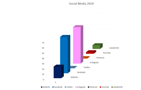 Jahresabschluss 2024 - Social Media (als Diagramm)