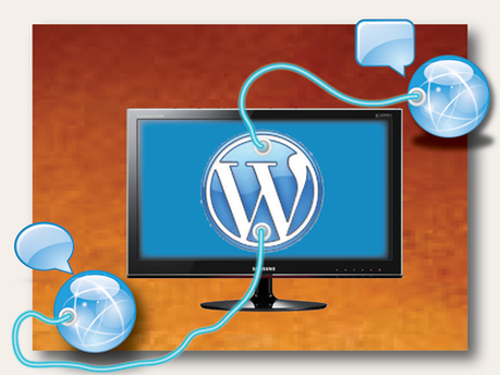 Wordpress plugged in image