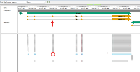 Isoform_track